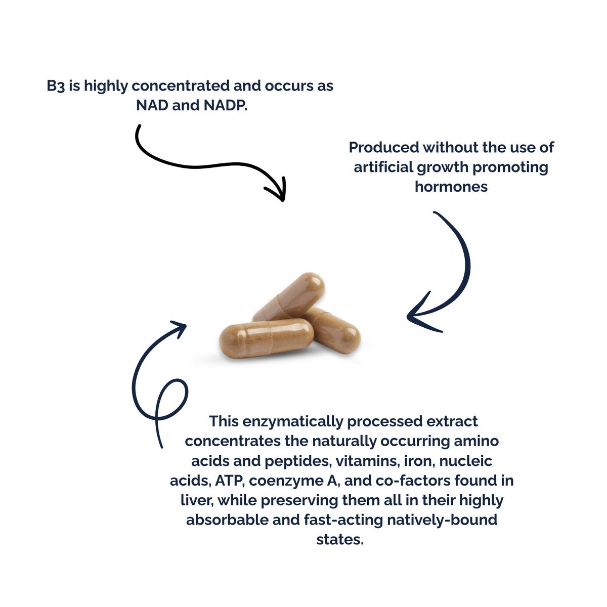 Pure Beef Liver Extract