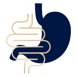 Cholesterol & Liver Health