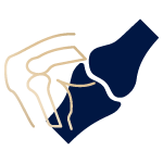 Joint & Bone Health