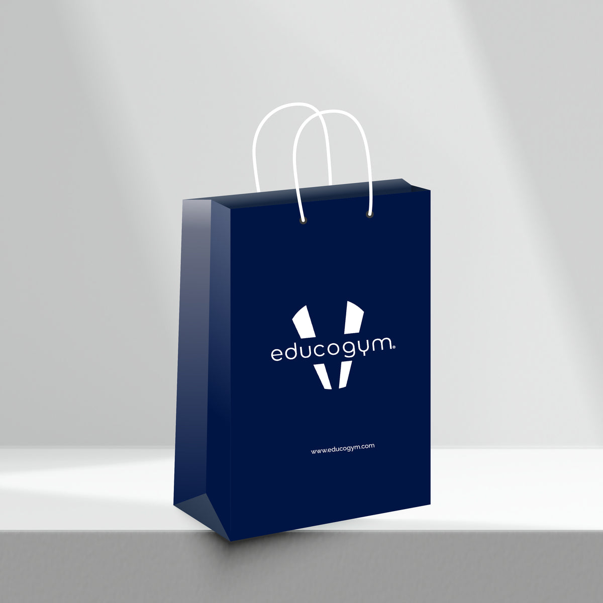 Tony Quinn Educohealth Paper Bags